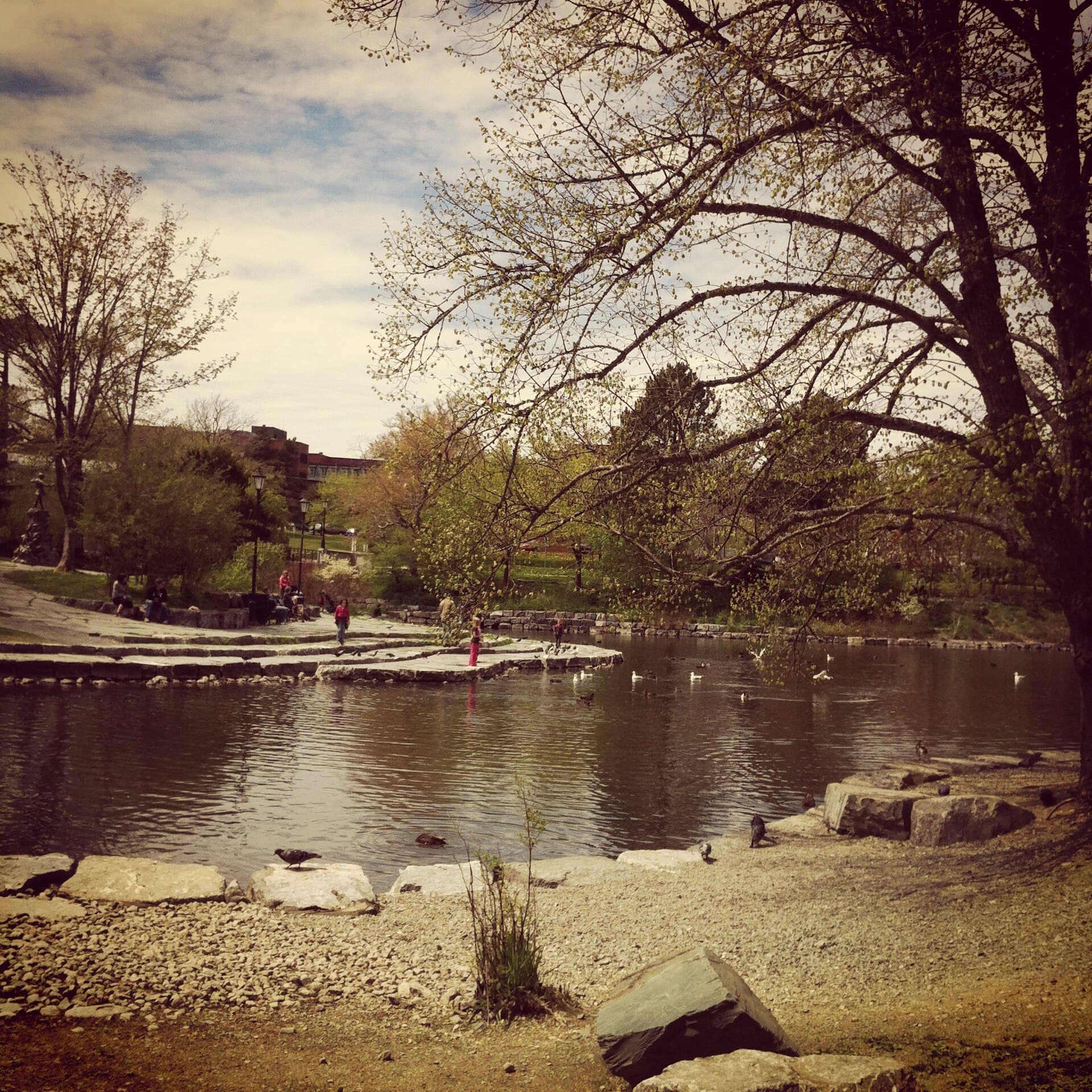The duck pond at Bowring Park in St. John's, Newfoundland.